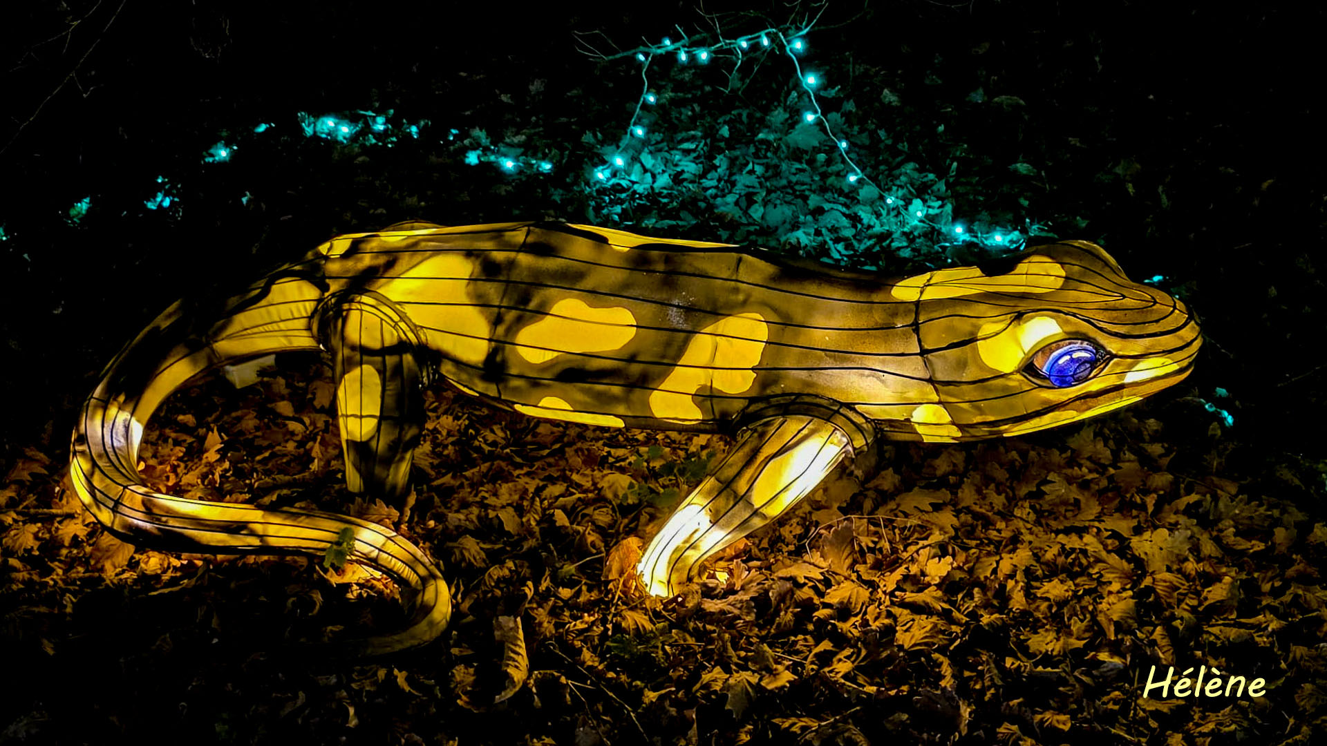 THOIRY -Illumination ,  Lumières sauvages 2025-2026